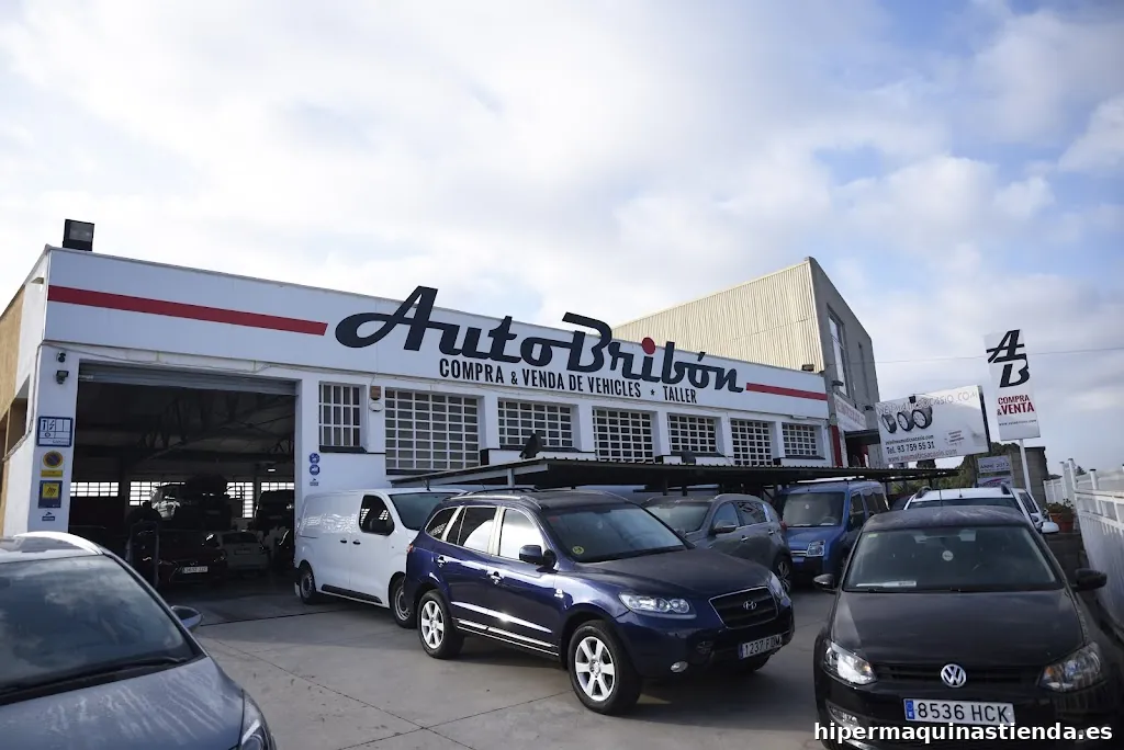 Auto Bribón