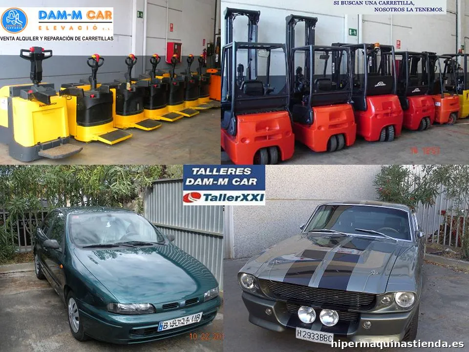 DAM-M CAR ELEVACIO, SL