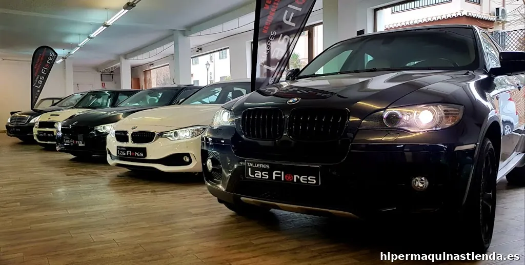 LAS FLORES AUTOMOCION (Talleres Las Flores)