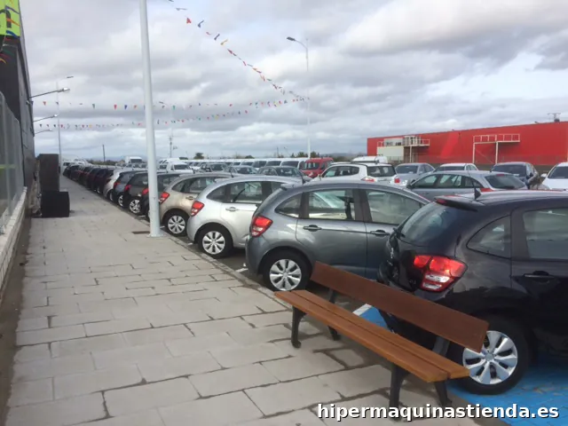 Subastacar, Delegación Plasencia