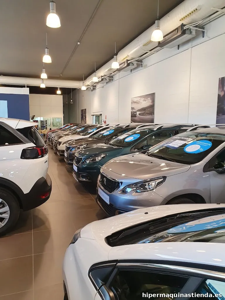 TALLERS CELESTÍ FARRÉ