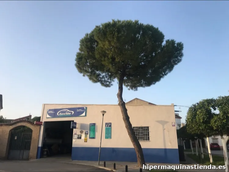 Imagen 2