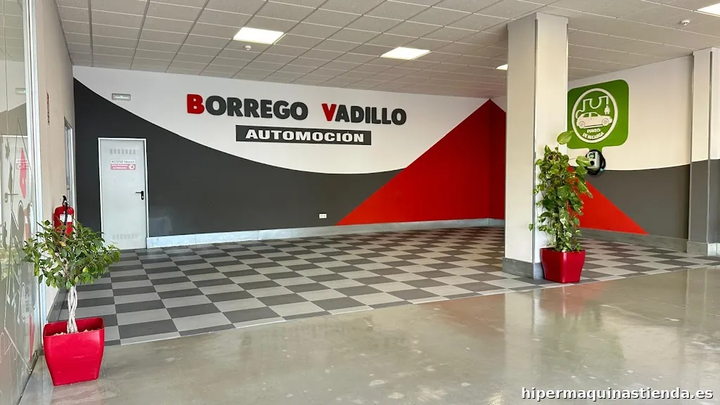 AUTOMOCION BORREGO VADILLO