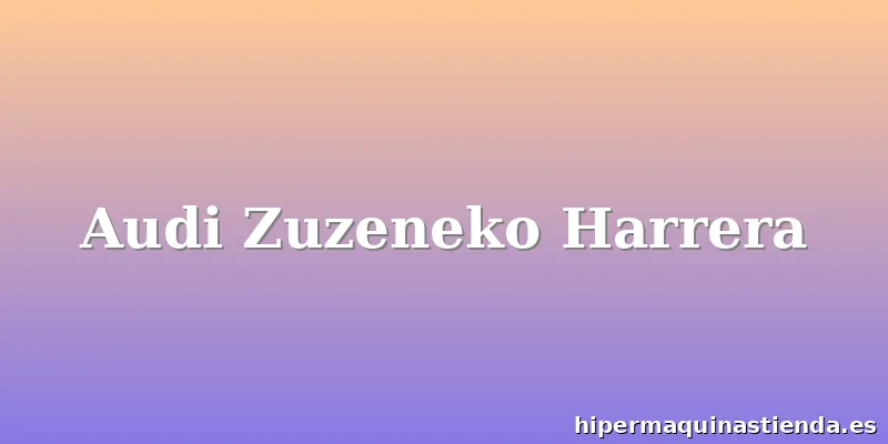Audi Zuzeneko Harrera