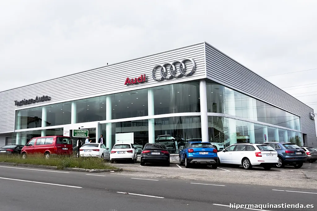 Asturpersa Audi Lugones