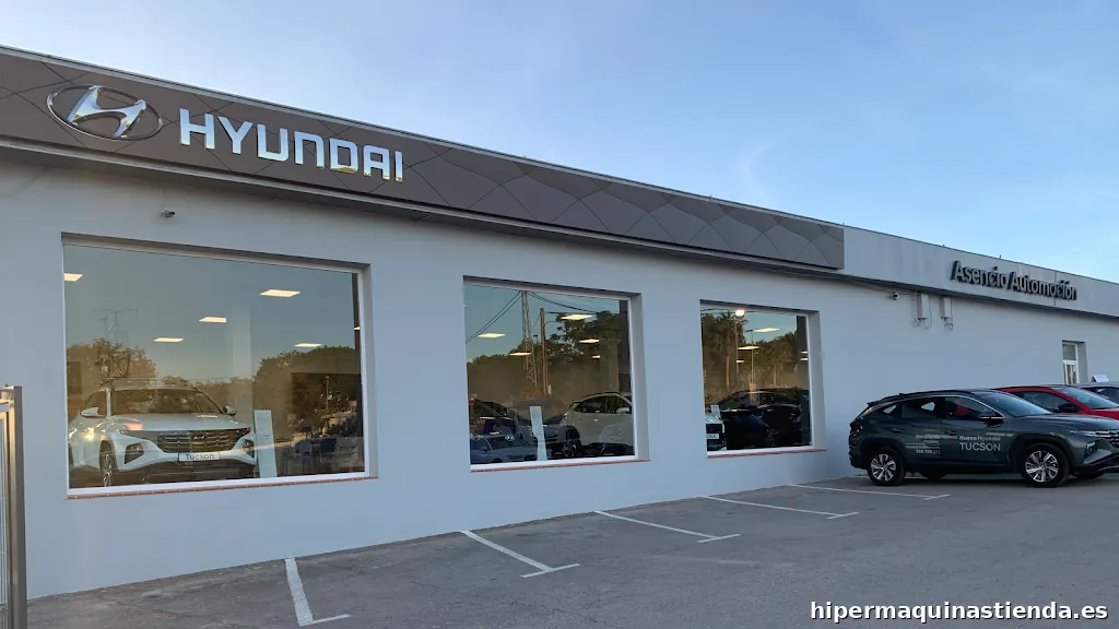 Asencio Automoción S.L.