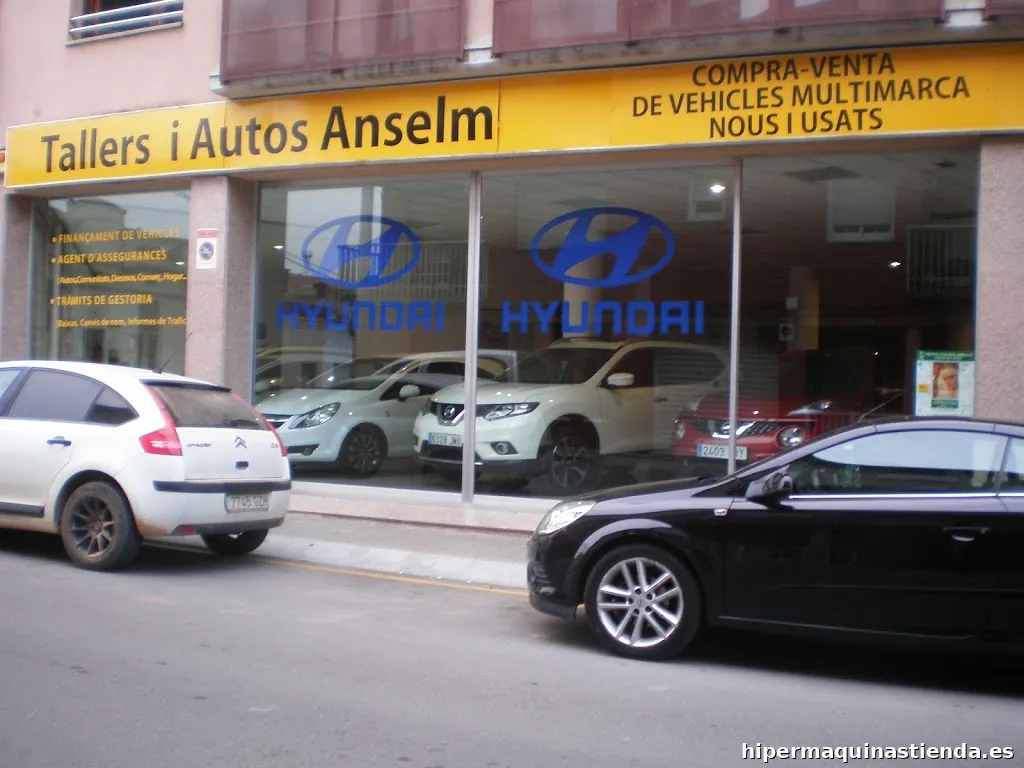 TALLERS I AUTOS ANSELM