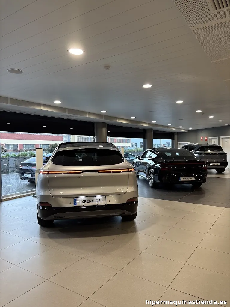 Dongfeng Blendio | Santander