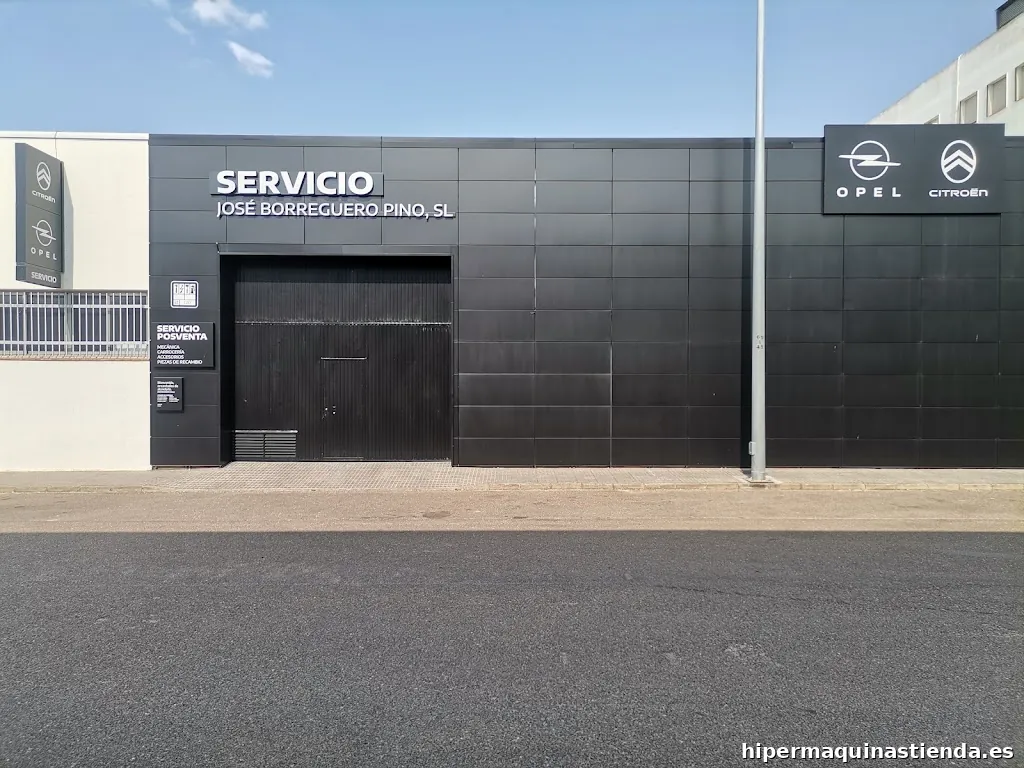 Citroën Jose Borreguero Pino (Grupo Borreguero)