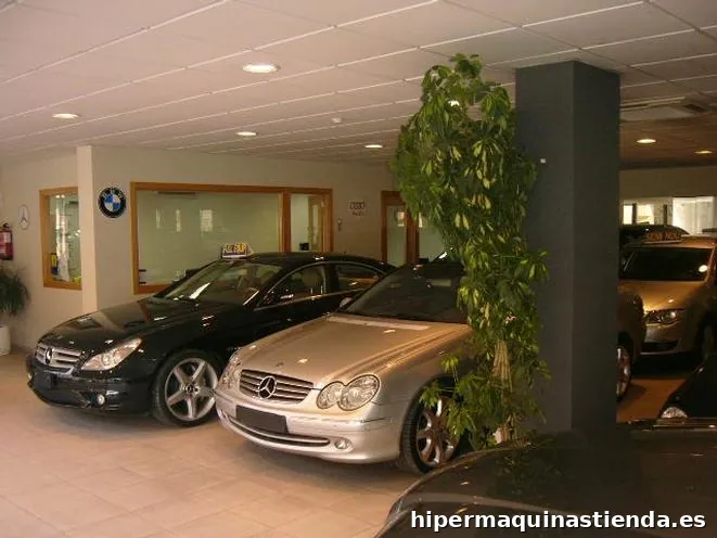 Imagen 2