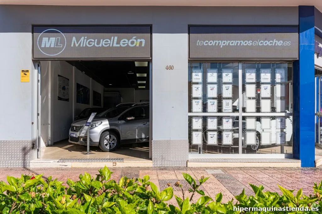 Miguel León Vecindario