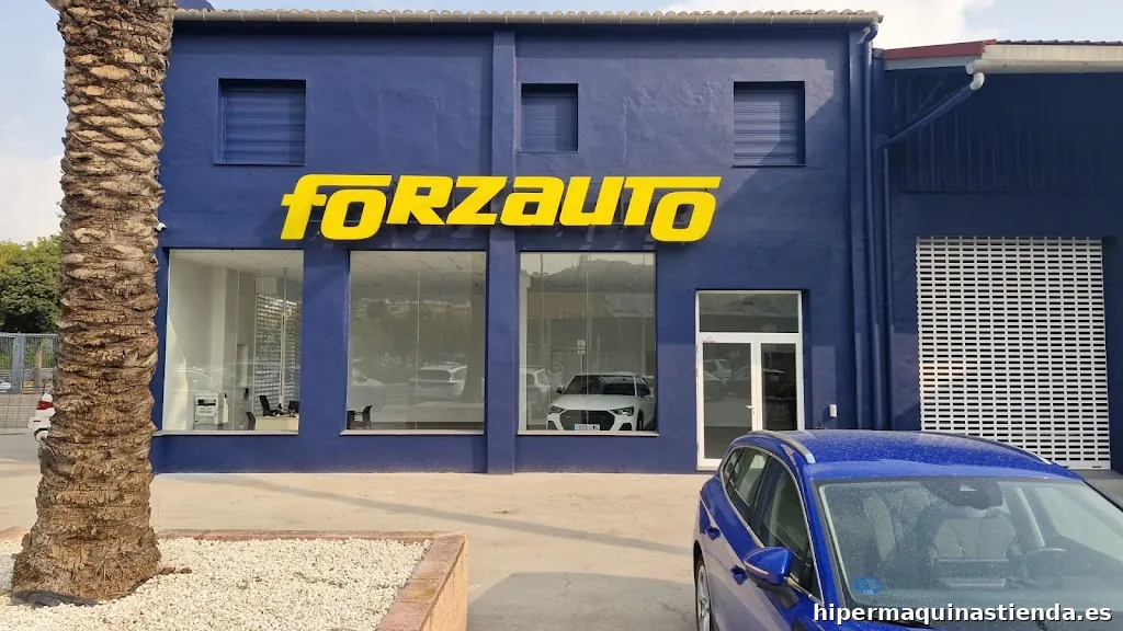 Forzauto Vehiculos de Ocasion