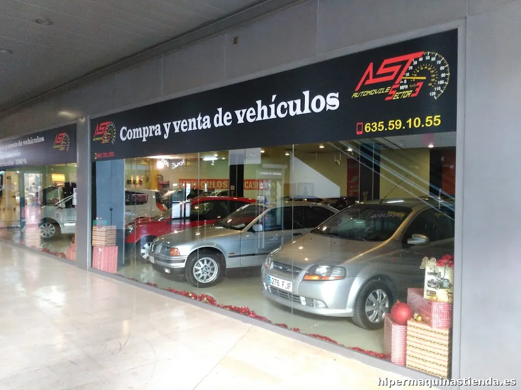 Ast Automoviles sector 3