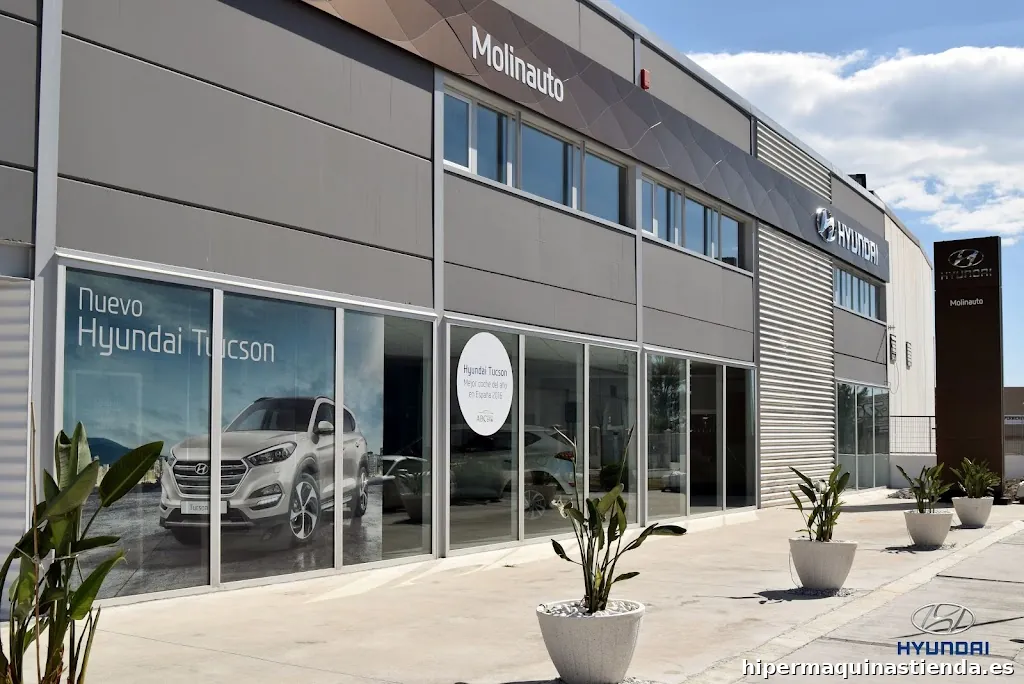 Hyundai Molinauto