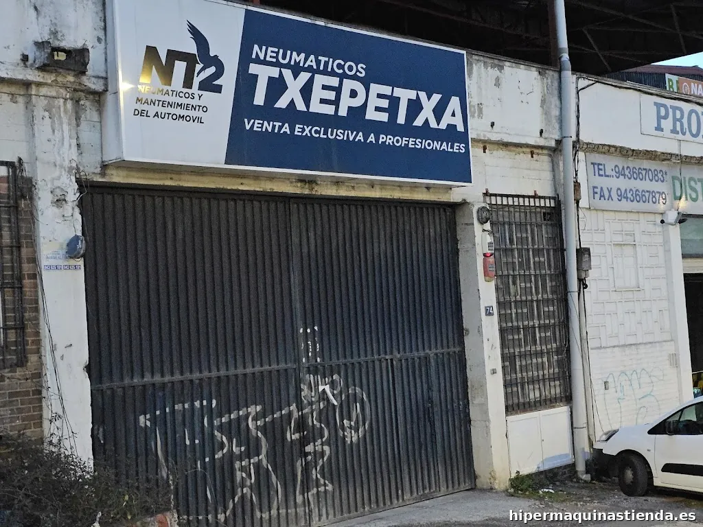 PROFESIONALES SECTOR (NEUMATICOS TXEPETXA S.L.)