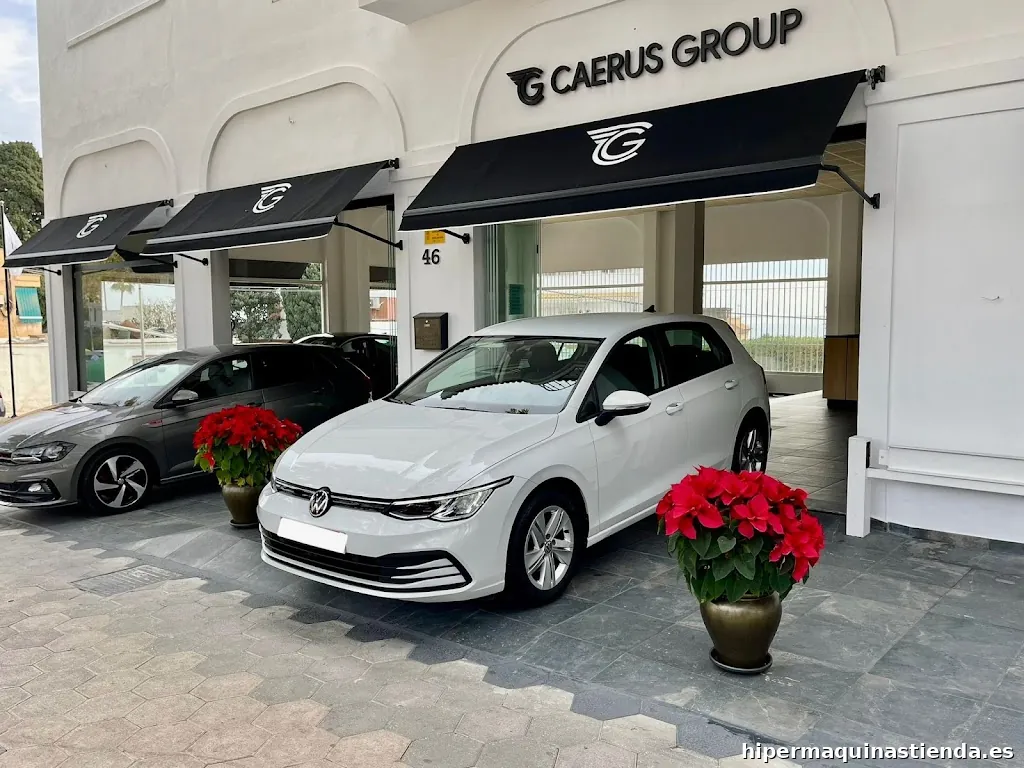 Concecionario de coches - Caerus Group
