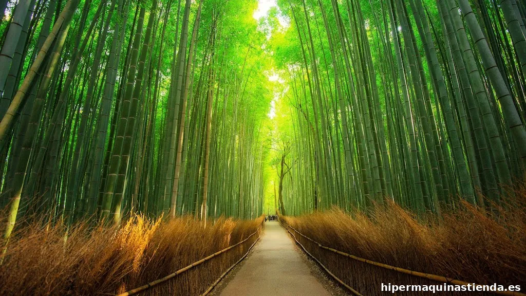 IDSS AUTOS E INSTALCLIMA SLU