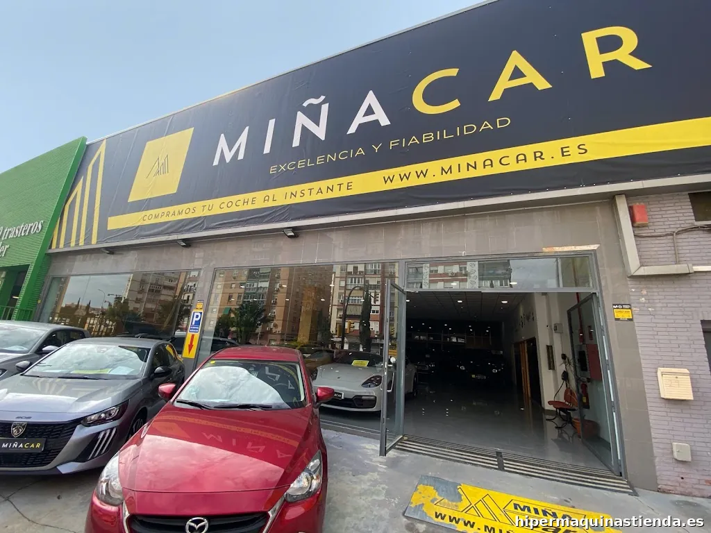 MiñaCar