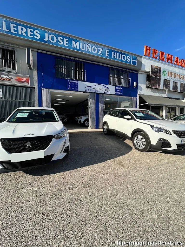 Automóviles David