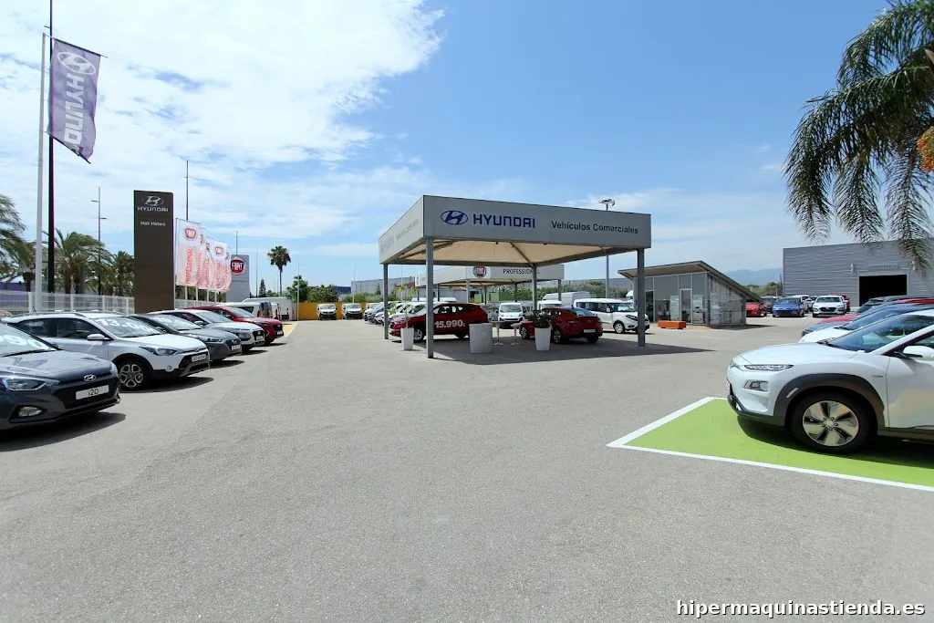 Fiat Professional Moll Motor Gandia